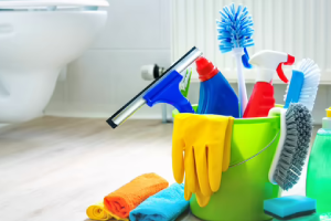 Messie Reinigung Zwickau